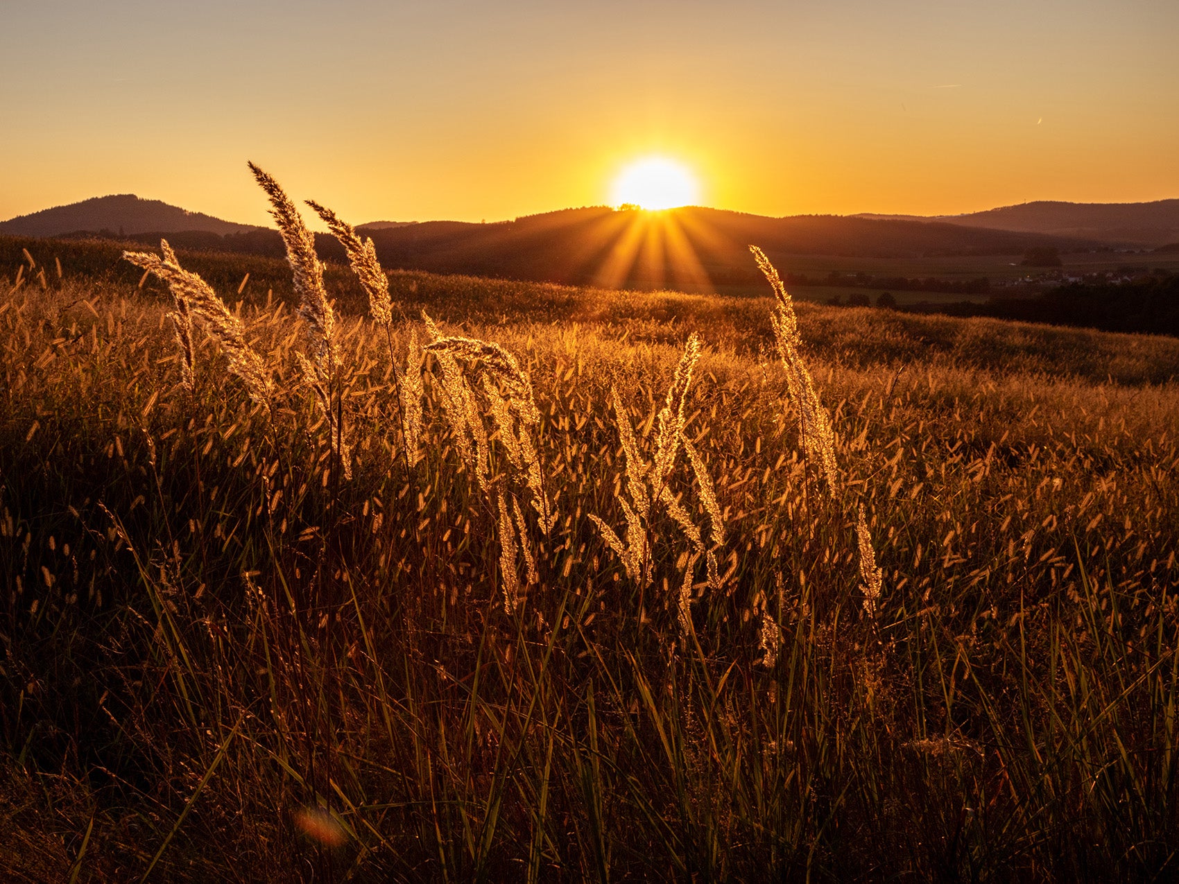 Die Golden Hour: Die Vorteile des natürlichen Lichts ausnutzen